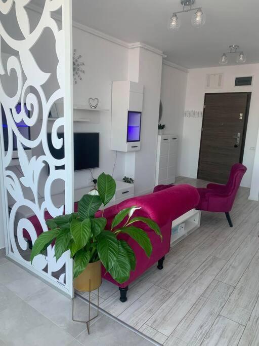Cool Apartment Timisoara Exterior foto